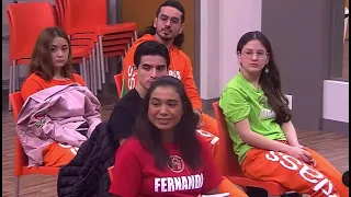 Fernanda- revisión séptimo concierto