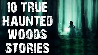 10 TRUE Disturbing & Terrifying Haunted Woods Scary Stories | Ghost Horror Stories