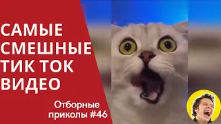 САМЫЕ СМЕШНЫЕ ТИК ТОК ВИДЕО 2020 Отборные приколы ЧУДИКИ ИЗ TIK TOK самые смешные видео #3 перезалив