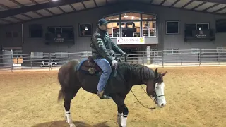 Dica de como o cavalo fica no spin obrigado Franco top