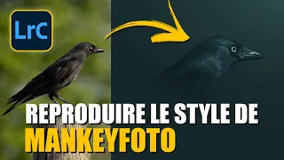 Reproduire le style de MANKEYFOTO avec LIGHTROOM 2023 ? 🤔