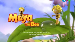 Пчёлка майя(51)