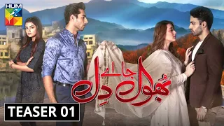 Bhool Jaa Ay Dil | Teaser 1 | HUM TV | Drama