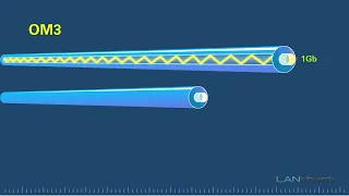 Fiber Type Versus Speed and Distance