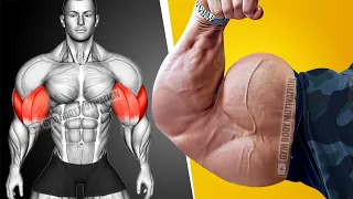 5 Most Powerful Exercises Will Explode Your Arms Muscle