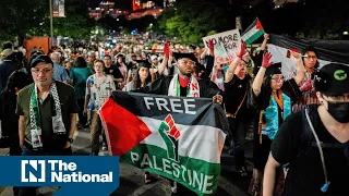 Beyond the Headlines: What is the impact of pro-Palestinian protests on campuses?