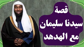 قصة سيدنا سليمان عليه السلام مع الهدهد - من أعجب القصص - الشيخ بدر المشاري