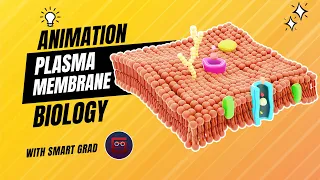 Plasma Membrane - Animation | Fluid Mosaic Model Animation | Function and Structure