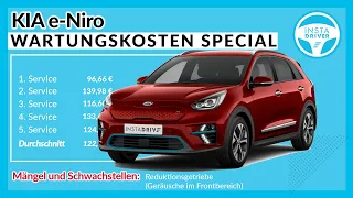 KIA e-Niro Wartungskosten-Überblick (Mängel, Defekte, Erfahrungen)