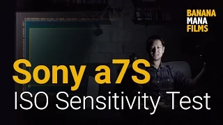 Sony a7S ISO Sensitivity Test