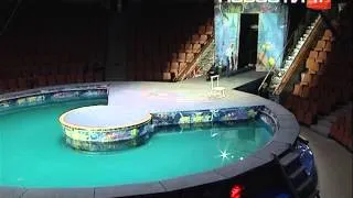 Цирк на воде в Екатеринбурге