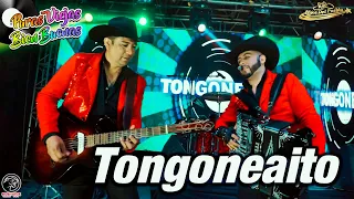 Los Hijos Del Pueblo - Tongoneaito (video oficial)