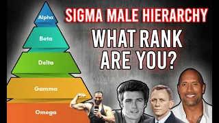 Sigma Male Socio Hierarchy | What Rank Are YOU?