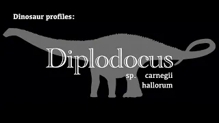 Dinosaur Profile: Diplodocus