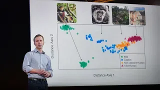 How we study the microbes living in your gut | Dan Knights