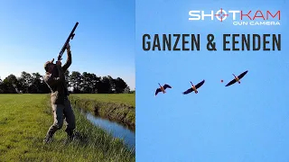 Ganzenjacht & Eendenjacht op ShotKam