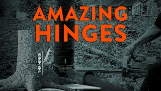 Best Chainsaw & Tree Fails - Amazing Hinges - Arborist Reacts