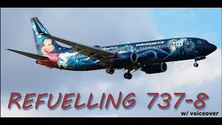 Impressive Disney Livery | Refueling Boeing 737-800