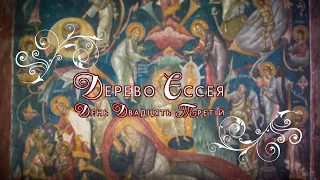 "Дерево Єссея" | День двадцять третій