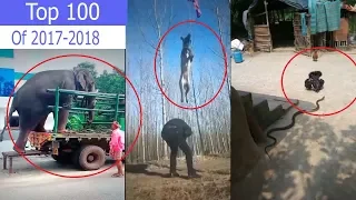 Top 100 Viral Videos of the Year 2017 - Top Amazing Videos of the World - Viral Amazing video