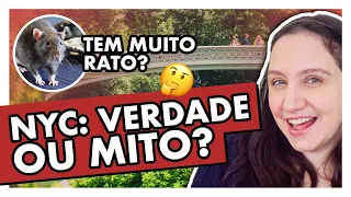 VERDADES E MITOS DE NOVA YORK #1 // DÚVIDAS GERAIS | VPD NY