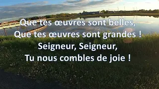 Que tes oeuvres sont belles  - Jacques Boudreau