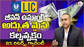 Jeevan Umang LIC Policy Telugu Full Details | As Raj kumar | SumanTV Money