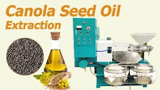 Canola seed oil extraction machine | rapeseed oil making