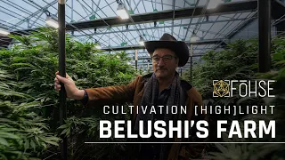 “If You're Going To Go BIG, Go FOHSE!" - Belushi's Farm CULTIVATION [HIGH]LIGHT 💡