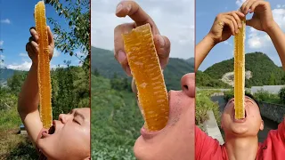 [ ASMR ] Eating Honeycomb, Mouthwatering Honey Videos Mukbank