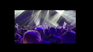 Pearl Jam feat. Josh Klinghoffer - Purple Rain (Live Amsterdam July 25th, last show in Europe)