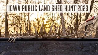 Iowa Public Land Shed Hunt 2023 | Big 5-point side FOUND!!