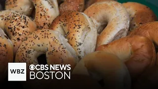 Delivering "random acts of bagelness" around Massachusetts