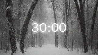 Snow - 30 minute countdown timer with relaxing background noise and alarm