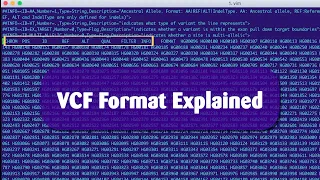 VCF File Format Explained | General Structure & Columns