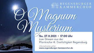 Regensburger Kammerchor O MAGNUM MYSTERIUM | LIVE aus der Pfarrkirche Hl. Dreifaltigkeit