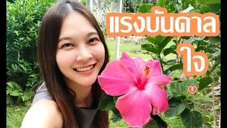 แรงบันดาลใจ สร้างได้อย่างไร งานวิจัยแรงบันดาลใจเกี่ยวกับการเรียน | หมอจริง เข้าใจวัยรุ่น Dr Jing