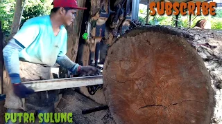 🔴 Kayu "TERBAIK" KAYU MERANTI MERAH