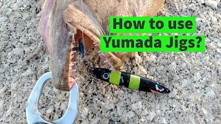 Introducing The Yumada Straightcut Jig - Designed for Shore Jigging