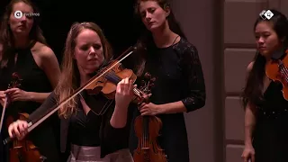 Lisa Jacobs and The String Soloists play Piazzolla Winter (live concert registration)