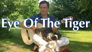 Eye Of The Tiger (Survivor) Acoustic - Classical Fingerstyle Guitar Cover - Thomas Zwijsen