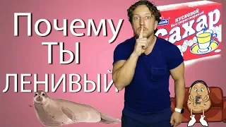 САХАР и МУЧНОЕ делают тебя ЛЕНИВЫМ!