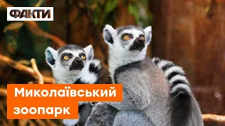 Миколаївський зоопарк: які екзотичні тварини живуть у звіринці та хто народився під час війни?