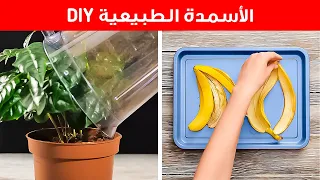 🌱 حيل مناسبة للمبتدئين لتنمية ملاذك الأخضر 🌿🌻