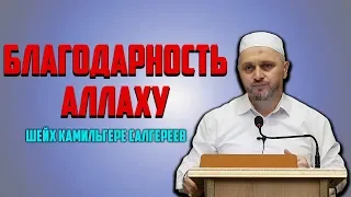 Благодарность Аллаху через проявление покорности ему ┇Шейх Камильгере Салгереев