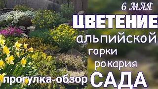 6 мая 🌞 Прогулка по саду🌞