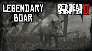 Red Dead Redemption 2 Legendary Boar Location and Hunting. Ленендарный кабан