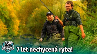 RYBOMÁNIE na rybách #8 - Tuhle vzácnou rybu tady nechytil Tadeáš ,,TMK Fishing" Malák už 7 let!