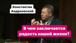 В чем заключается радость нашей жизни? | Константин Андреевский