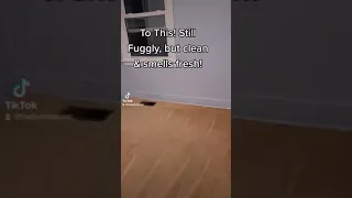 Roomba to the Rescue